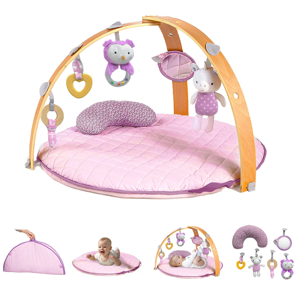 Activity Gym for Babies