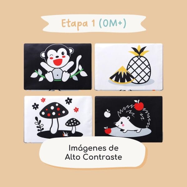 Espejo & Libro Sensorial para Bebé